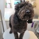 안녕, 뭉실 이미지