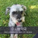 미사봄약국 이미지