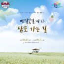홍천동키