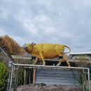 바래기암소한마리 | 경남 함양 안의 황석산 맛집 바래기 암소 한마리