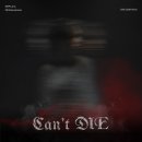 도코(DOKO) 이미지