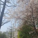 원쌤수학학원 - 노원구 동일로207길 184 | 원쌤수학학원