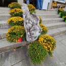 벽봉마을 | 한국방문 Day15-대구 동화사