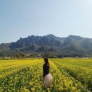 (주)백양랜드 | 전라도 3,4월 꽃구경하기 좋은곳추천