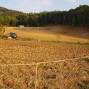 국보농장 이미지