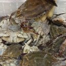 송도상회 이미지