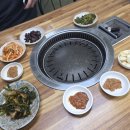 잔비어쓰 이미지