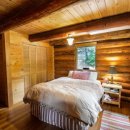 착한나무 이미지