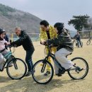 맑은세상 조선일보