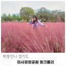 하남 미사경정공원 핑크뮬리 위치정보 솔직후기