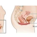 비앤비필라테스 - 북구 화산6길 4 | 비앤비필라테스