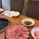 천지한우 1 네이버블로그