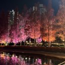 부산시설공단부산시민공원 이미지