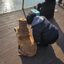 지성유치원 | 겨울데이트 &amp; 겨울가족근교여행 추천 '길상낚시터' 내돈내산 후기