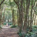 선정목장 이미지