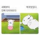 송정주짓수 네이버블로그