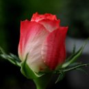 허브아일랜드민박 이미지