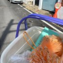 힐링건강랜드 이미지