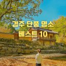 계림회관 | 경주 단풍 명소 가볼만한곳, 베스트 10