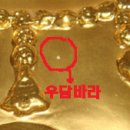 장흥사유치원 이미지