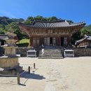 부안산소 | 전북 사찰 여행 가볼만한곳 - 부안 내소사 전나무숲길