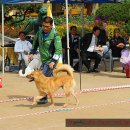 화수초등학교 이미지