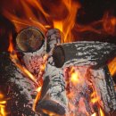 김석옥 카카오 검색결과