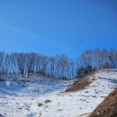 인제목장 이미지