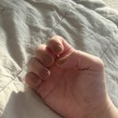 청주 동남지구 네일 윤더뷰티 / 동남지구네일은 윤더뷰티로 정착! 내돈내산 리얼 후기