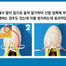 본디(BONDI) 네이버블로그