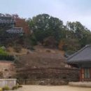 순천-56호 이미지