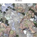 망우당행장 이미지