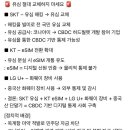 극우들 이번 sk텔레콤 개인정보 유출사태를 이재명 후보님과 엮네요 이미지