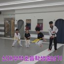 드림하이태권도장 이미지