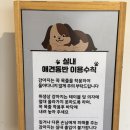 광명초등학교 | 경기광주 신현동카페 폰드먼트에서 소금빵붕어빵 먹어보기