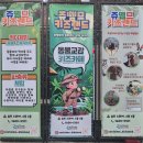 오락랜드 | 아이와가볼만한곳 이색 체험 가능한 시흥 키즈 카페 실내동물원 후기 [쥬뗌므 키즈랜드]