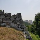 창원 주의수 묘 이미지