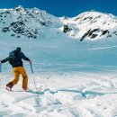 봉산민박 | 강원 인제 자작나무숲, 겨울 설경 완벽 가이드! 5가지 필수 팁 공개!