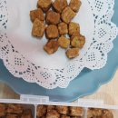 네발총총 이미지