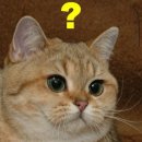 언남중학교 이미지