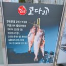 익산원예농협하나로마트 | 모현동 맛집 발견 / 인생코다리에서 코다리조림 먹은 후기