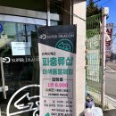 송악 동물병원 | 당진 파충류 카페 슈퍼 드래곤