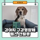 이든덴탈 | 강아지 프리미엄 유산균 구강영양제 펠스 덴탈뮨