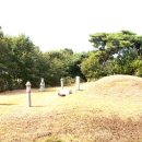 이여발묘 이미지
