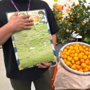 [동대문DDP] 컬리푸드페스타 <b>마켓</b>컬리 팝업스토어 후기 - 꿀팁,주차팁