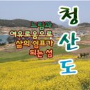 3월 30일(토) 유채꽃 만발!! 완도 청산도 슬로우길 트래킹.♡48,000원.조중식(찰밥.중.찬지참).37석리무진운행 이미지