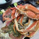 대해 | 속초 대게 맛집 대해가 내돈내산 대게세트 2인 후기