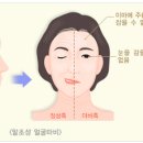 동백한의원 이미지
