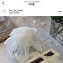 시루온플라워 이미지