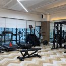 동남의지 이미지